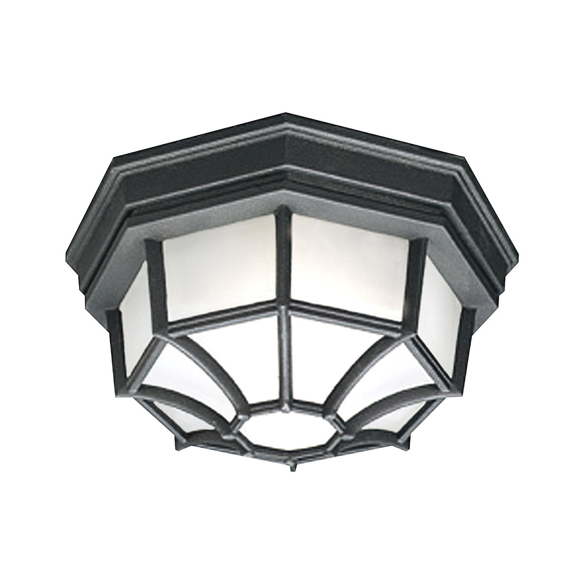 Thomas Lighting SL7457 Outdoor Essentials Outdoor Ceiling Light, Black