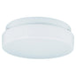 7925BLE-15 - White 1 Lt. Haylee Flush Mount - Sea Gull Lighting - IN STOCK LIGHTING - Flush Mount