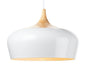 HGM0184 WHITE - White 1 Light Pendnat