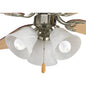 Progress Lighting P2600 09 Lighting Kit, Brushed Nickel