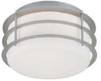 Divine Lighting SR3-MS-D13GU-27-WG Two Light Ceiling Mount