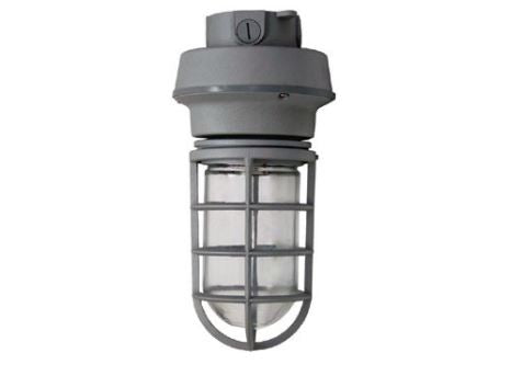 Divine Lighting DL-VPCM-SA-INC 1 Light Pit Light Ceiling Mount