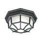 Thomas Lighting SL7457 Outdoor Essentials Outdoor Ceiling Light, Black